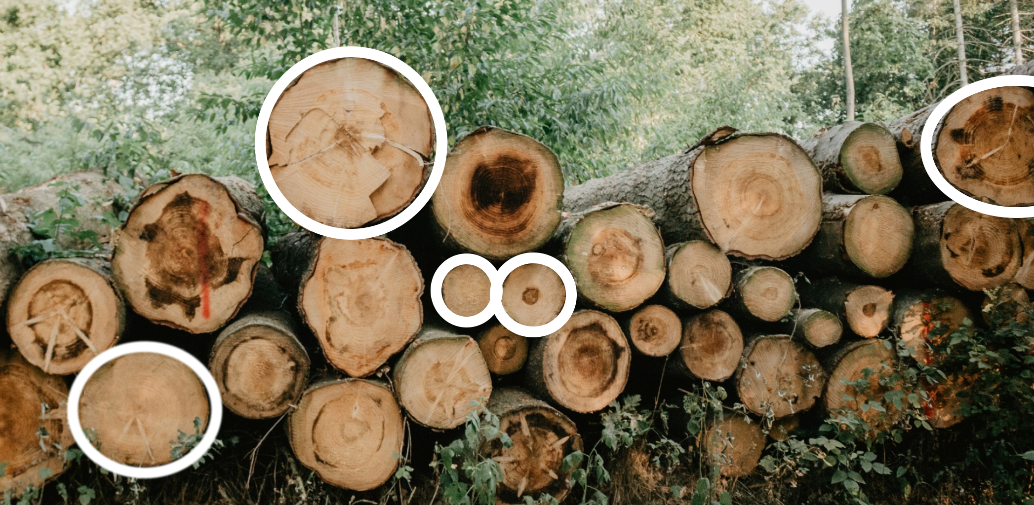 Иллюстрация к статье - Деревянные многоэтажки: новая норма строительства Деревянные многоэтажки: новая норма строительства